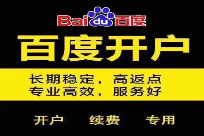 信息流竞价策略解析：成功案例分析